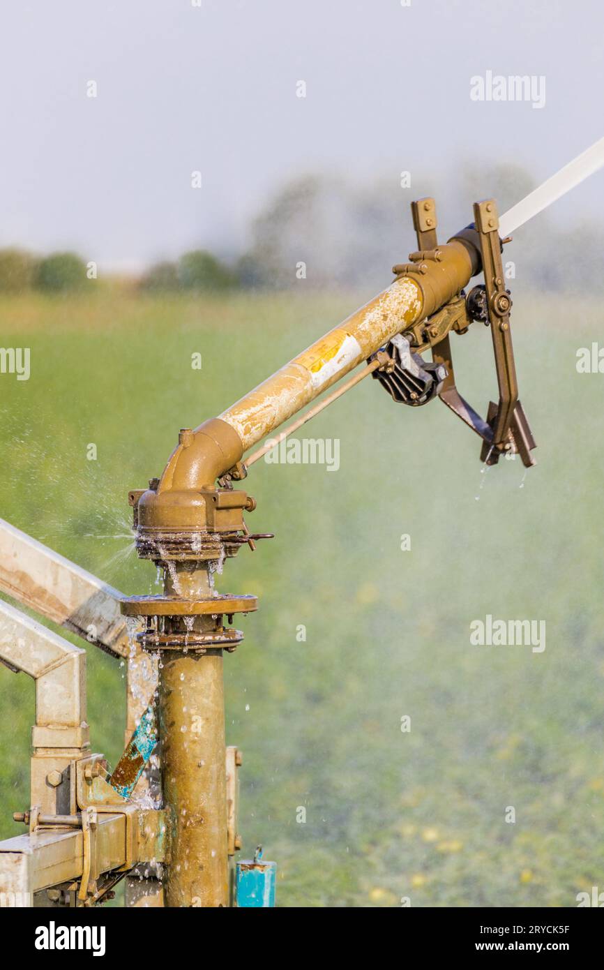 L'irrigatore irriga i campi Foto Stock