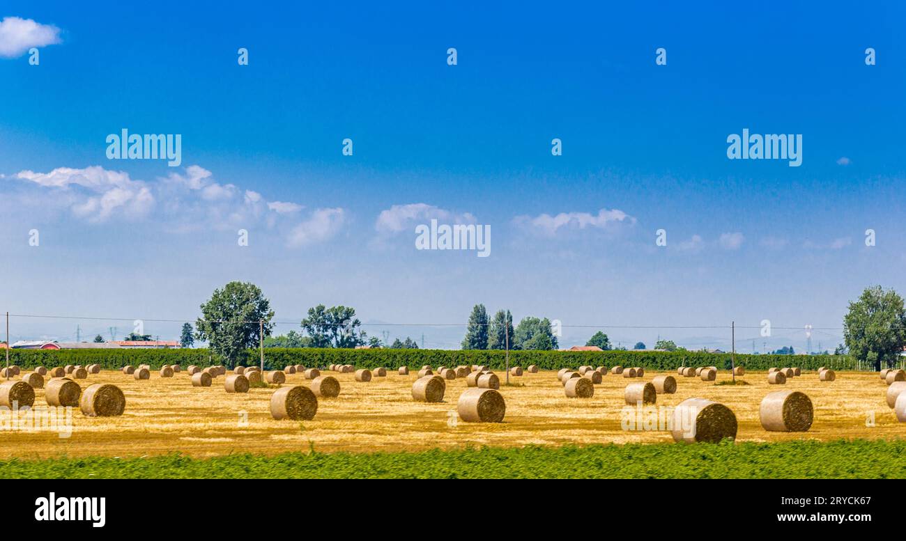 Balle di fieno rotonde Foto Stock