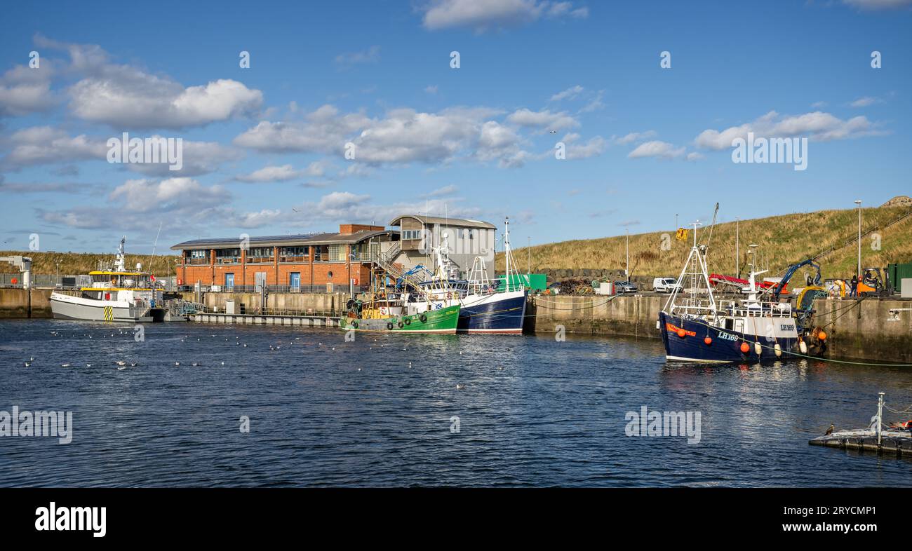I pescherecci ormeggiarono vicino all'ufficio del porto di Eyemouth Harbour, Berwickshire, Scozia il 21 settembre 2023 Foto Stock