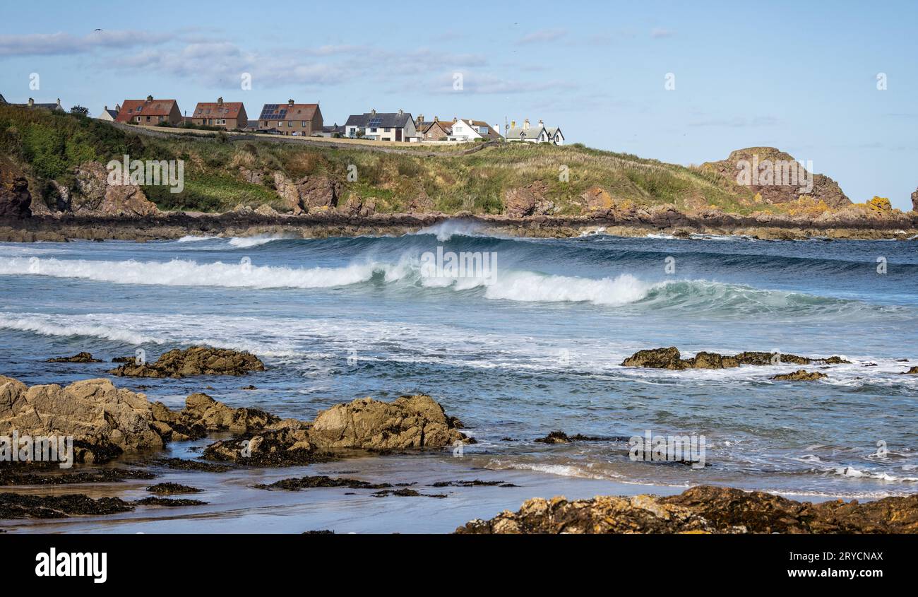 Surf Rolling a Coldingham Bay, sul confine scozzese, in Scozia, il 21 settembre 2023 Foto Stock