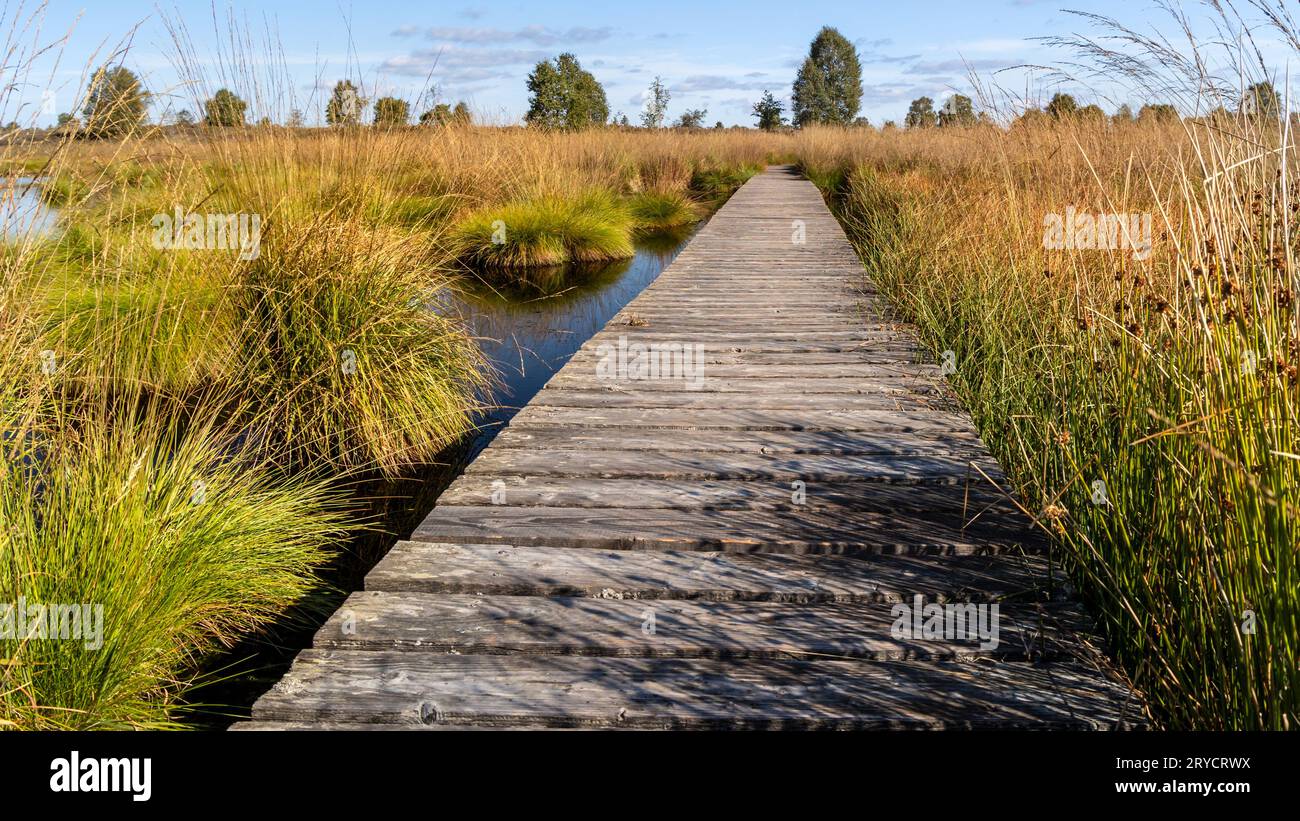 Sentiero in legno attraverso l'Hochmor delle alte Fens Foto Stock