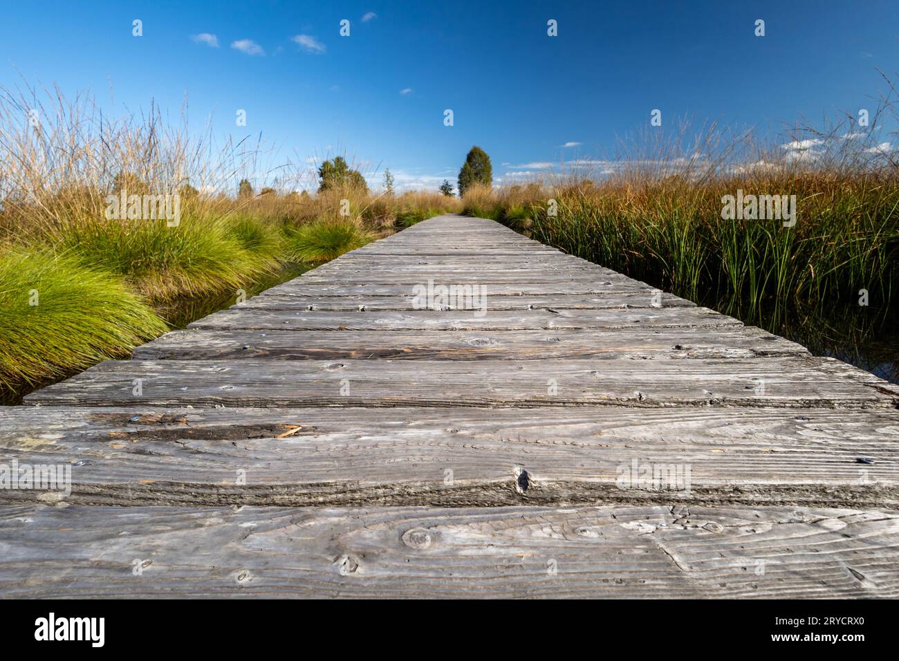 Sentiero in legno attraverso l'Hochmor delle alte Fens Foto Stock