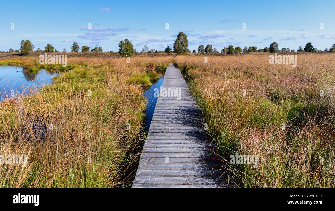Sentiero in legno attraverso l'Hochmor delle alte Fens Foto Stock