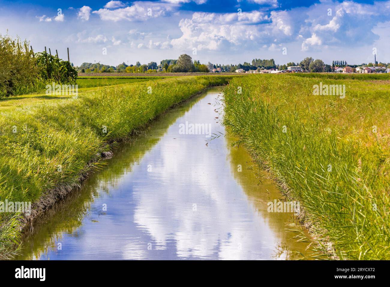 Canale di irrigazione in campagna Foto Stock