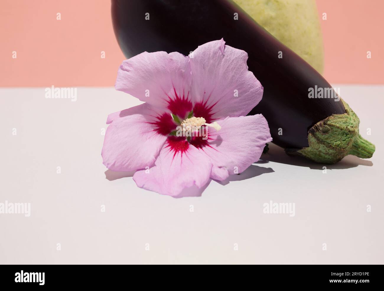 Natura morta con melanzane, zucchine e fiori. Concetto vegetale creativo Foto Stock