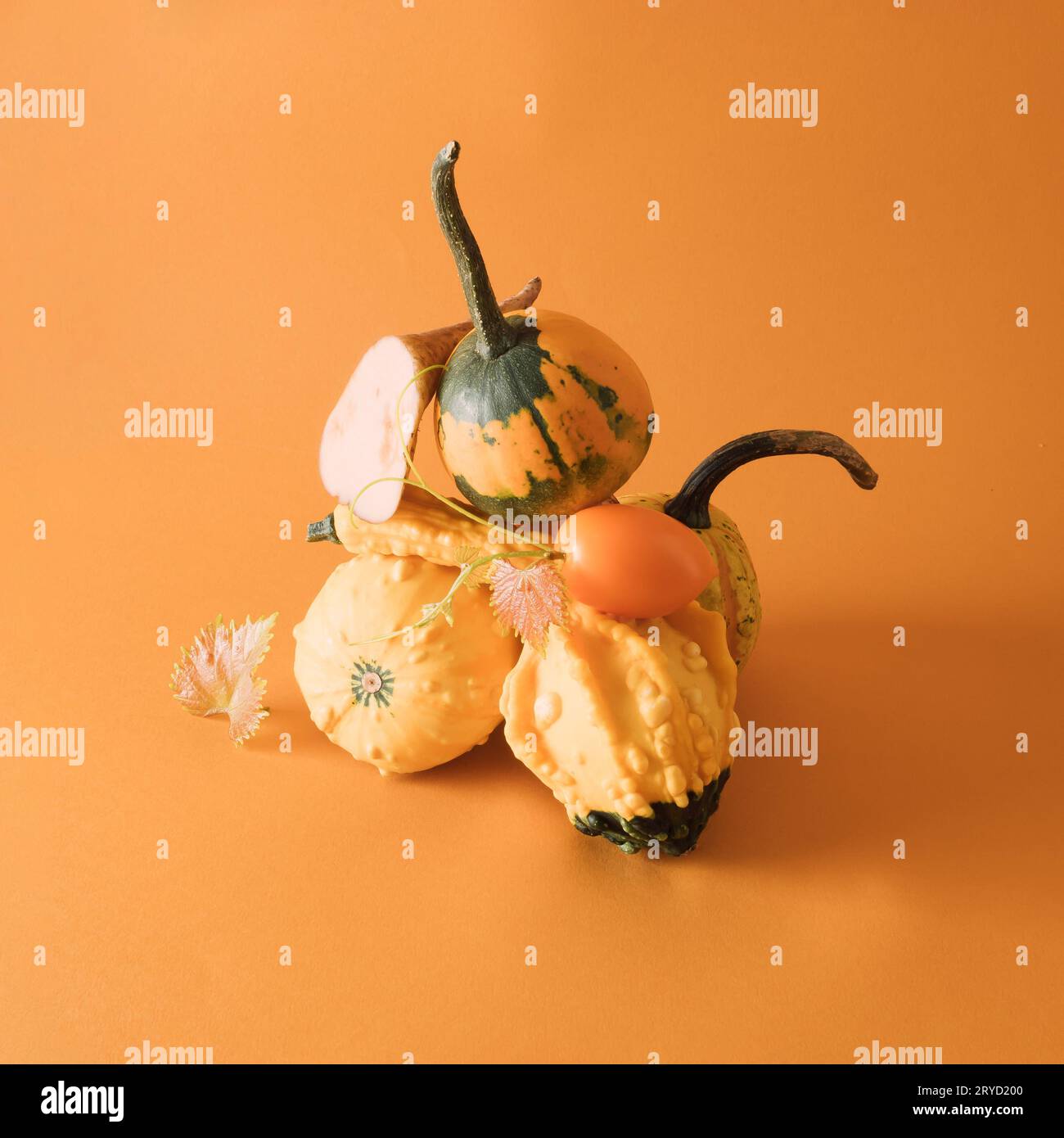 Piramide verticale di verdure naturali di produzione propria appena raccolte di colore arancione e giallo - zucca con sfondo dello stesso colore, copia Foto Stock