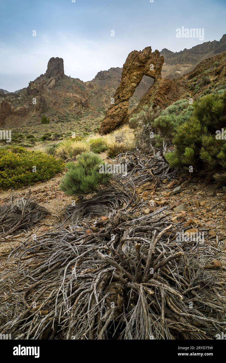 Parco nazionale del Teide sull'isola di Tenerife in Spagna Foto Stock