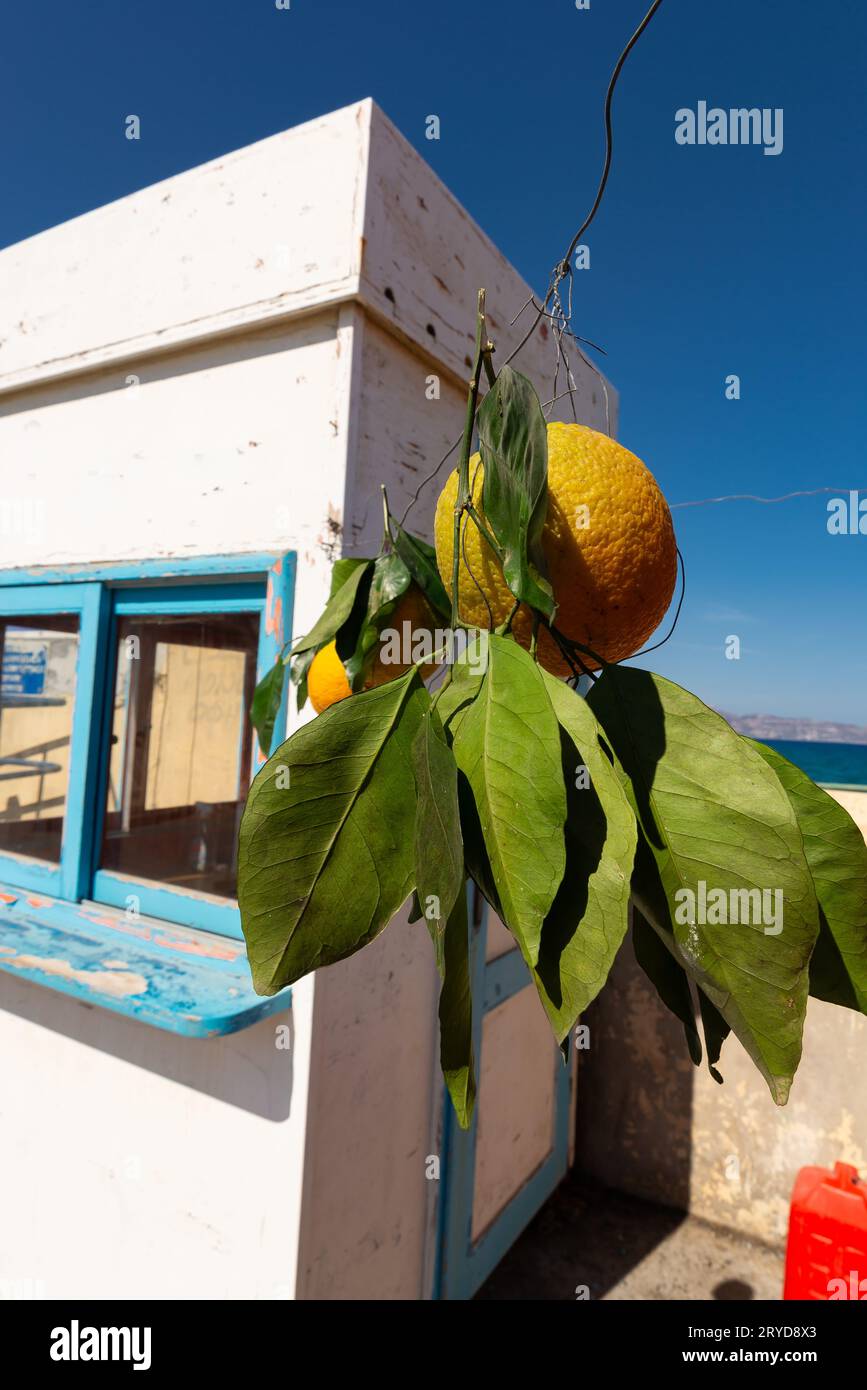 Arance fresche appese alla bancarella vender a Heraklion, Grecia. Foto Stock