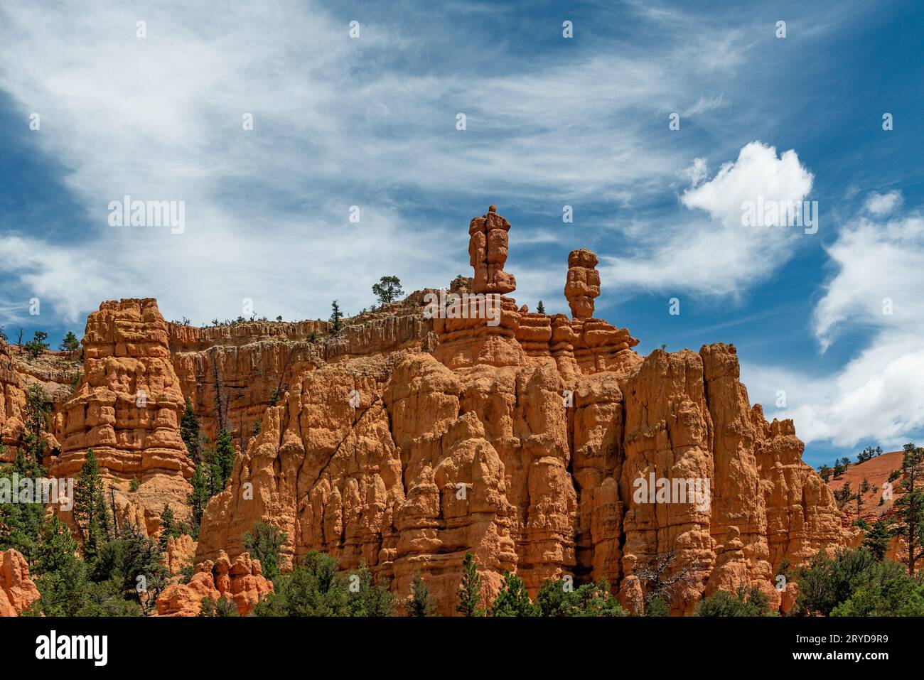 Formazioni rocciose di arenaria Hoodoo, parco nazionale del Bryce Canyon, Utah, Stati Uniti. Foto Stock