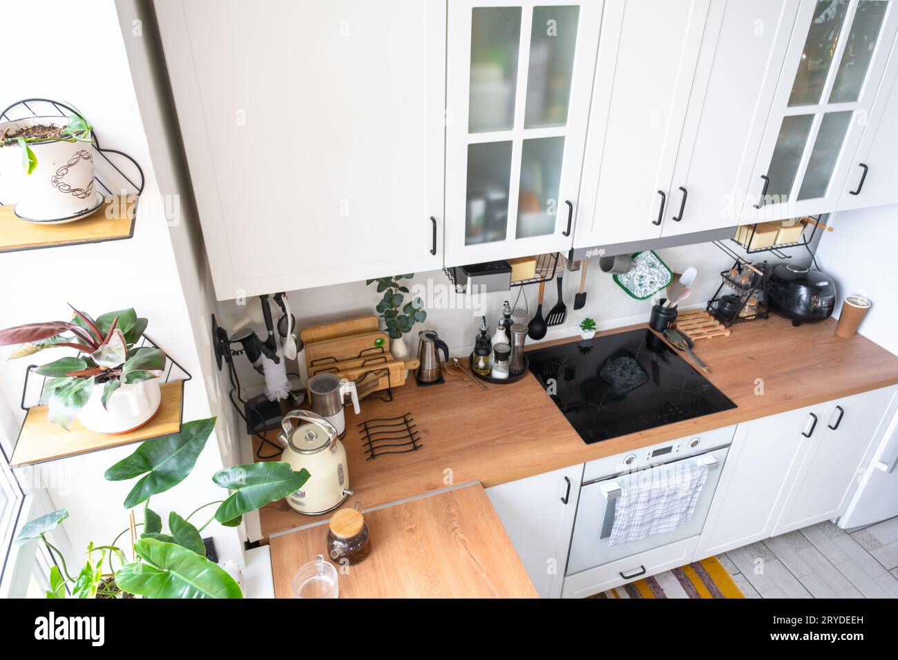 Moderna cucina rustica di colore bianco chiaro decorata con piante in vaso e utensili da cucina in stile loft. Interno di una casa con piante da casa Foto Stock
