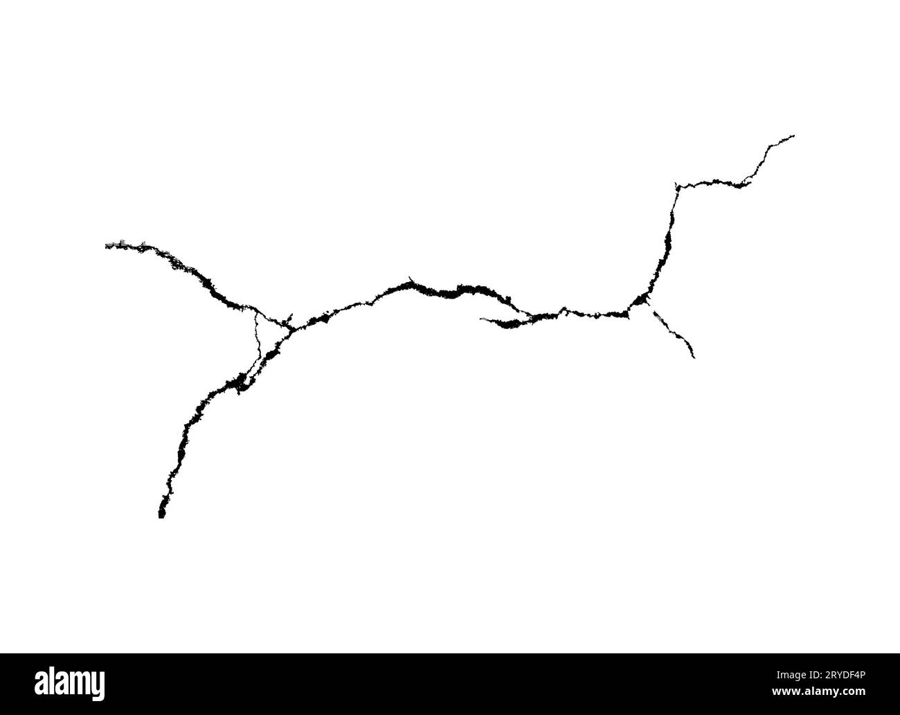 Vettore ramo nero grunge crack isolati su sfondo bianco Foto Stock