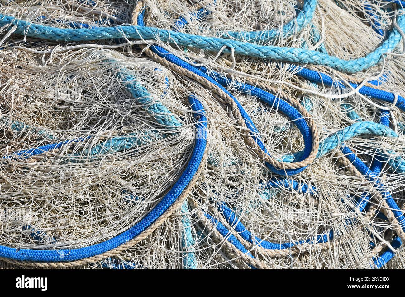 Ravvicinare la rete di pesci marini con carri colorati Foto Stock