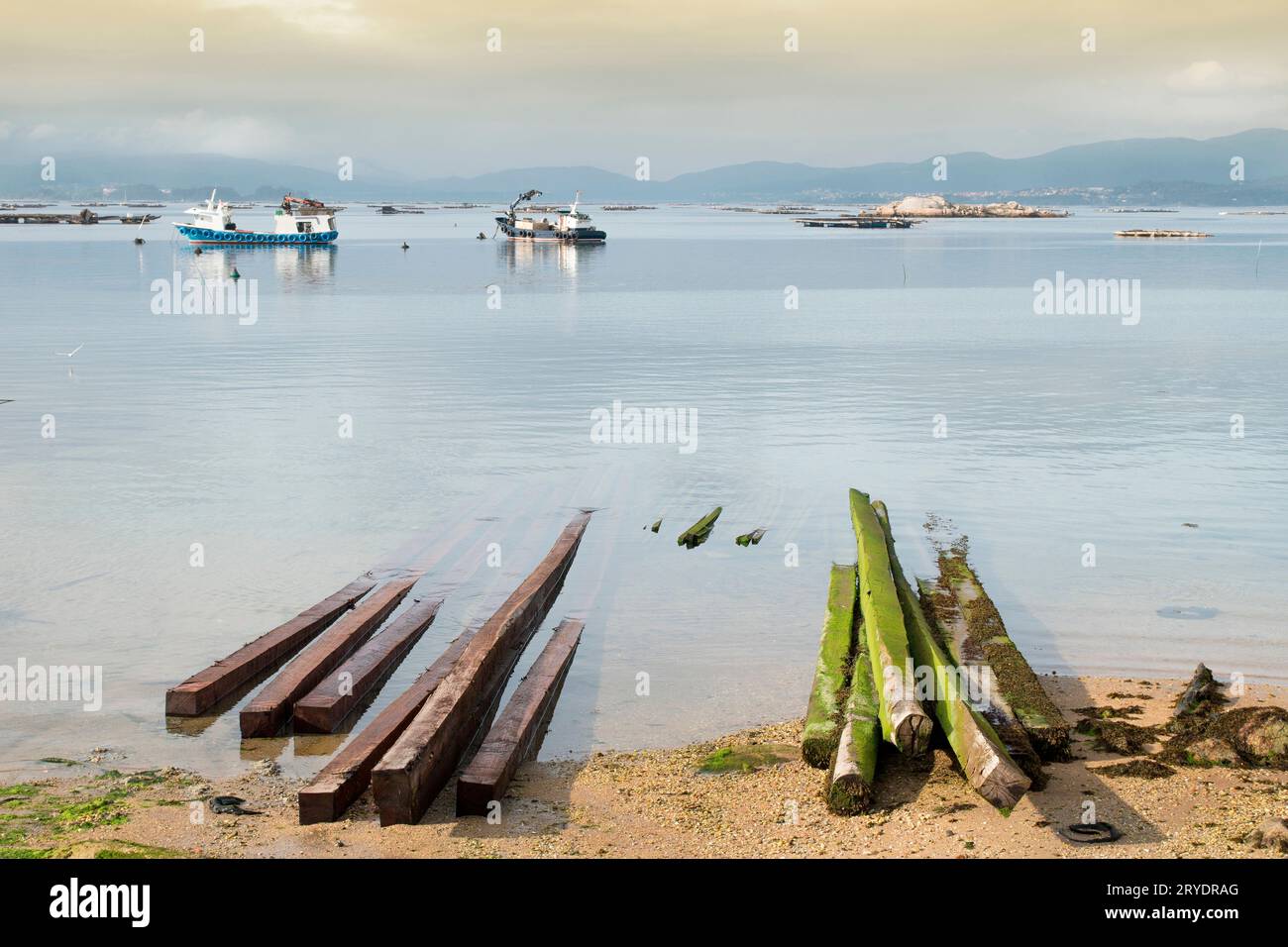 Paesaggio marino della costa della Galizia. Barche a cozze e piattaforme a cozze chiamate bateas Foto Stock