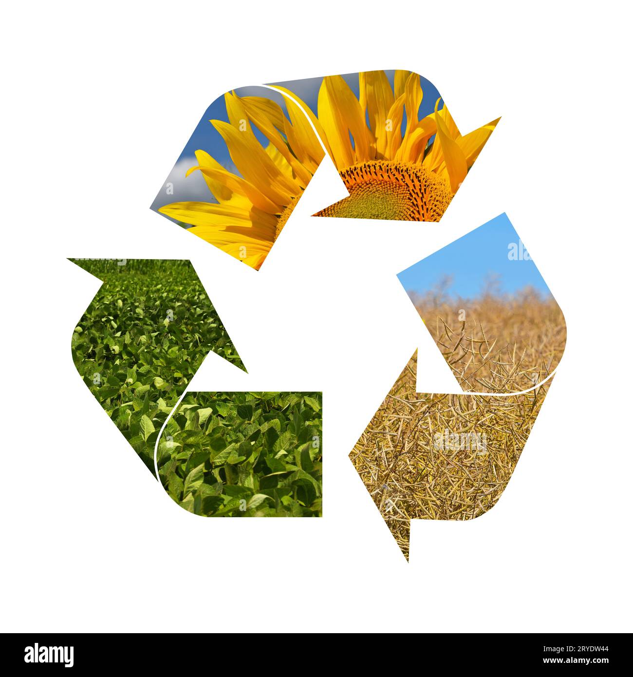 Illustrazione simbolo di riciclaggio dell'agricoltura Foto Stock