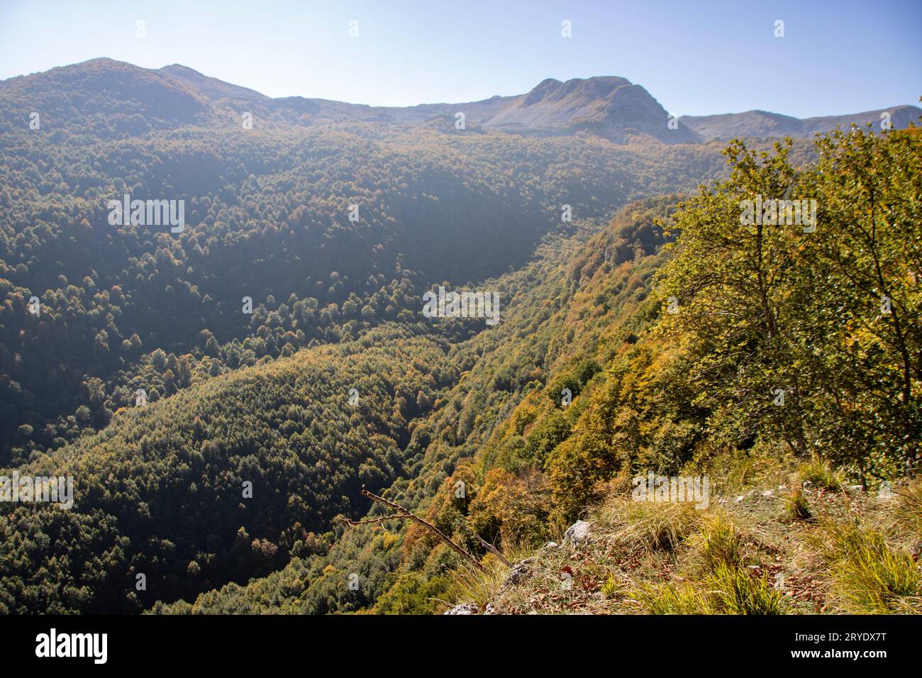 Paesaggio di una valle soleggiata e di cime montuose come si vede dalla città di OPI Foto Stock