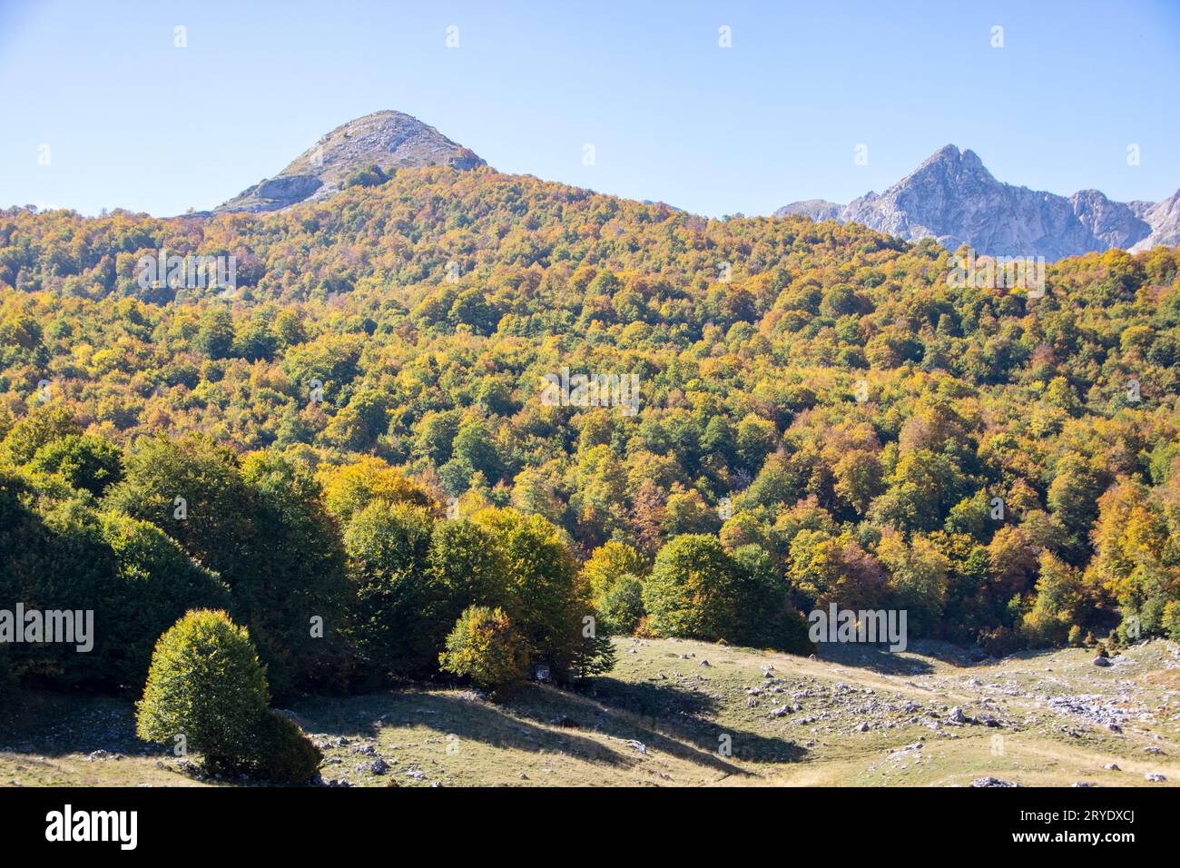 Sunny Valley nel parco nazionale d'Abruzzo in autunno, Italia Foto Stock