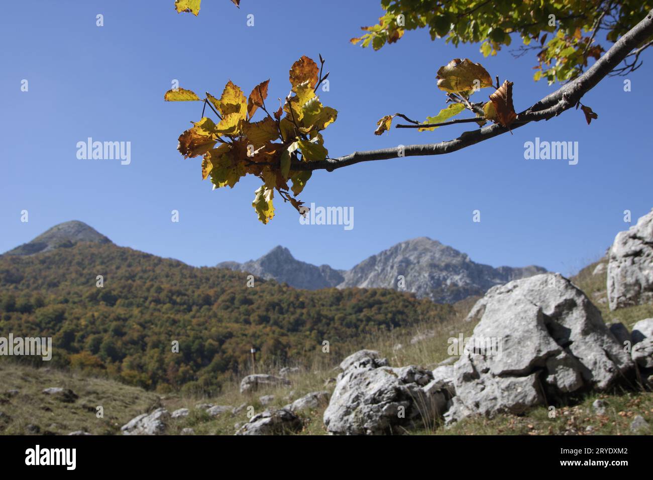 Soleggiata valle nel parco nazionale d'Abruzzo in autunno Foto Stock