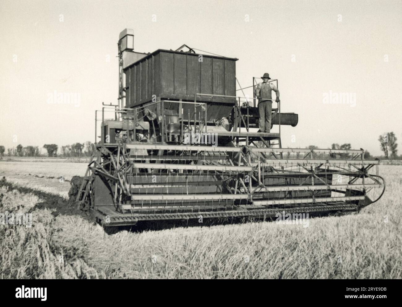 Mietitrebbiatrice vecchia, vendemmiatrice d'epoca, anteriore Foto Stock