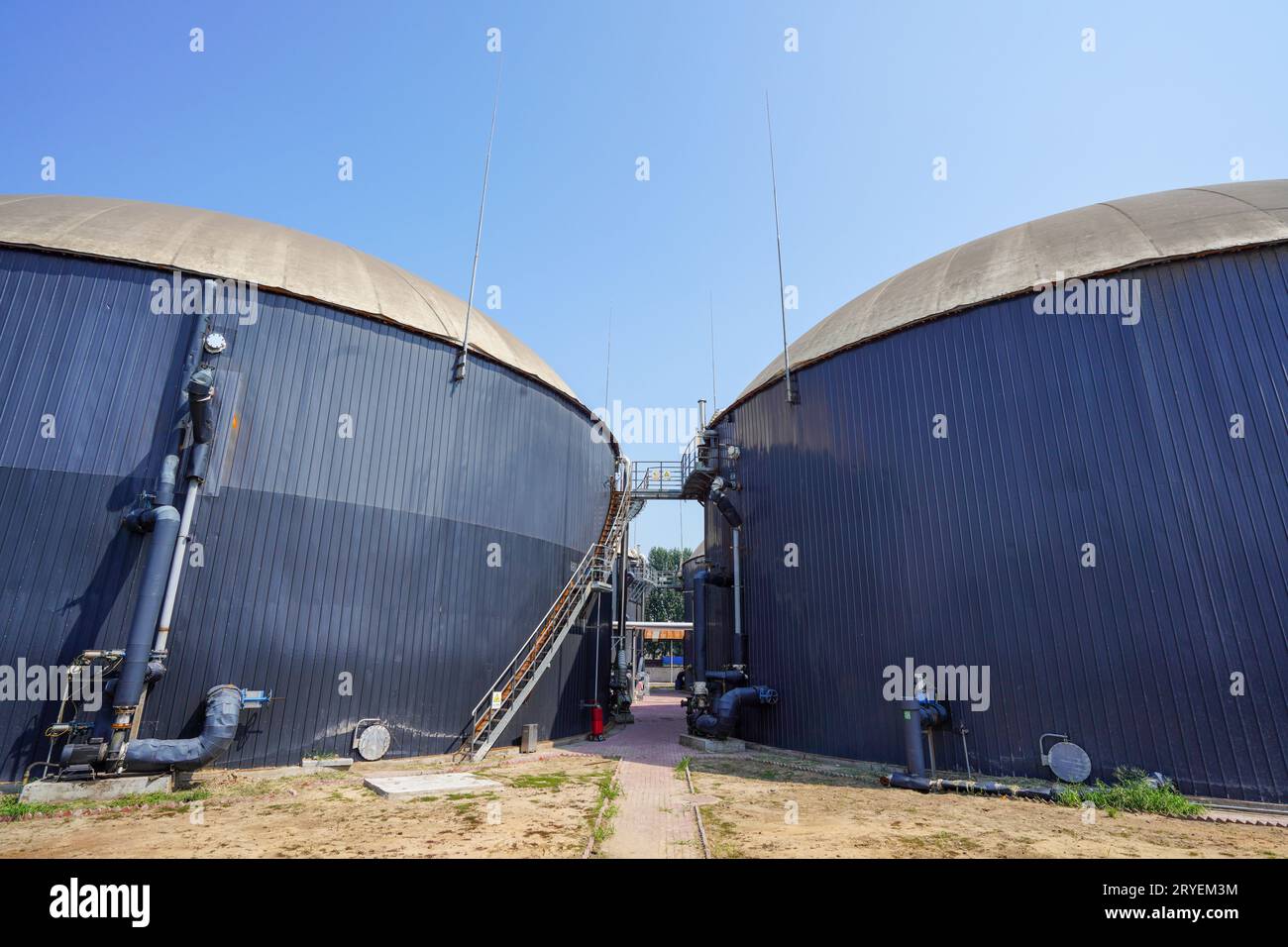 Vasca di fermentazione anaerobica del biogas in una centrale elettrica del biogas Foto Stock