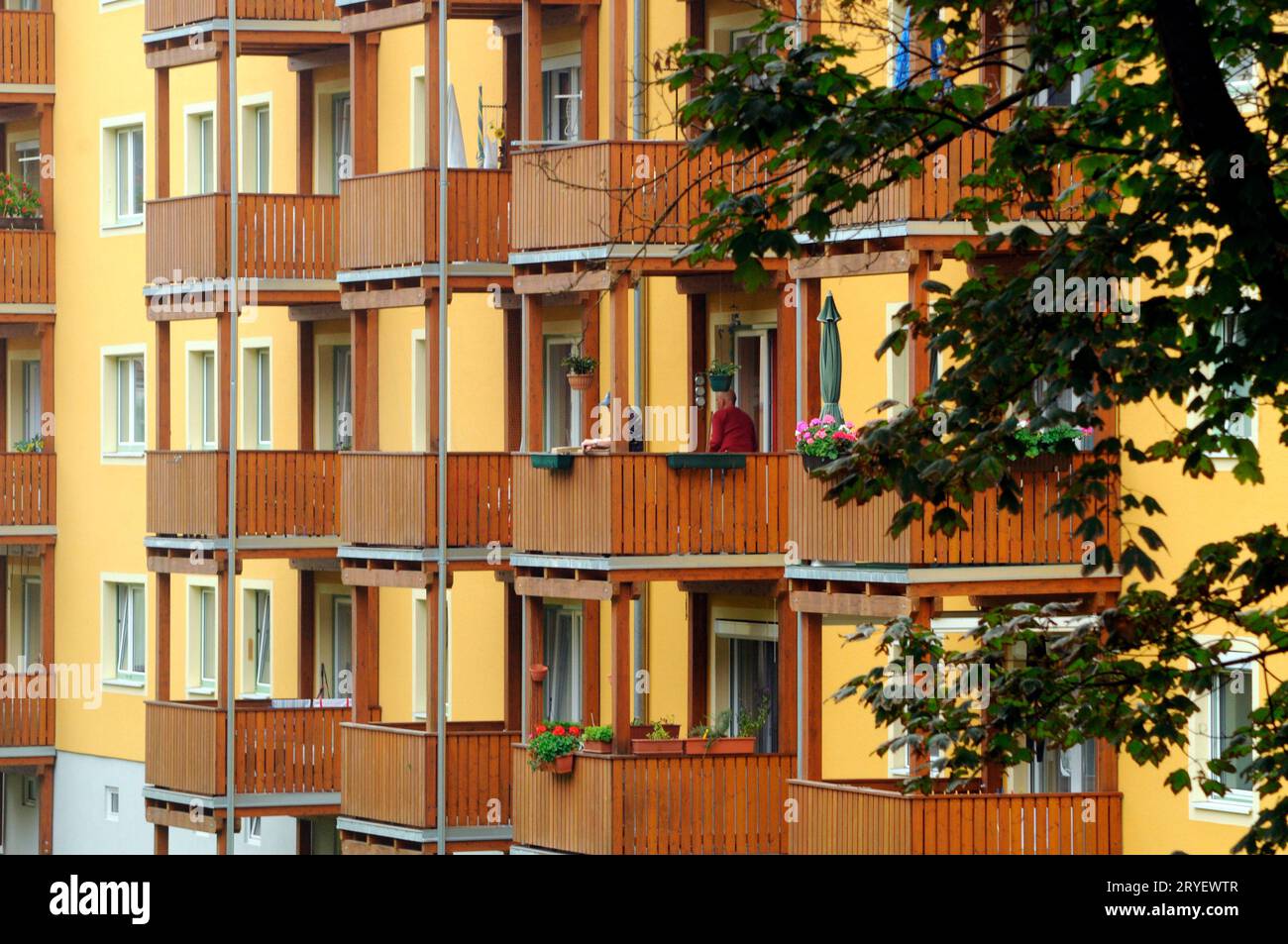 Verde urbano attraverso la crescita degli alberi Foto Stock