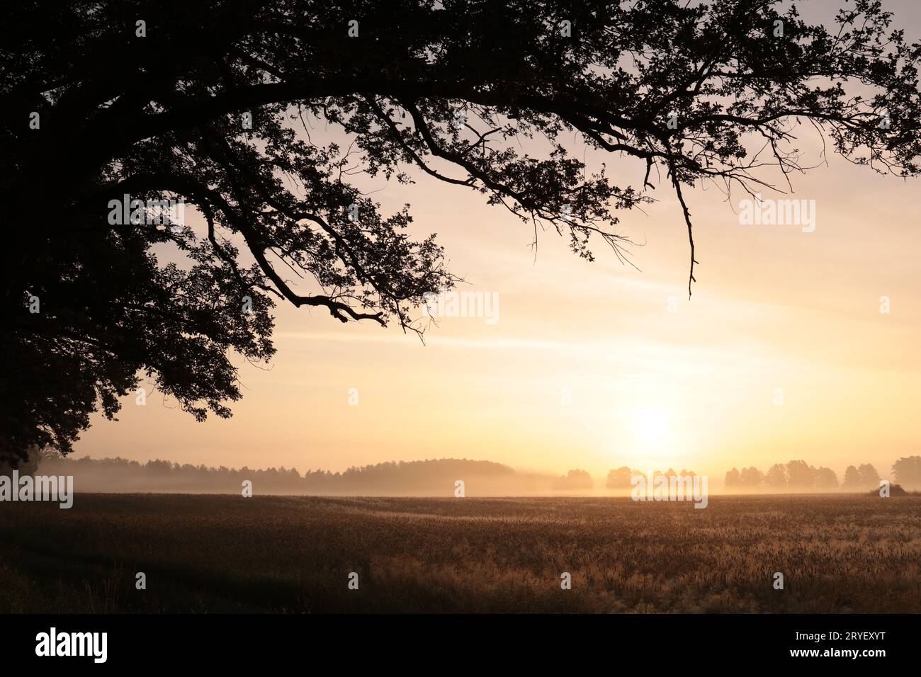 Paesaggio rurale Foto Stock