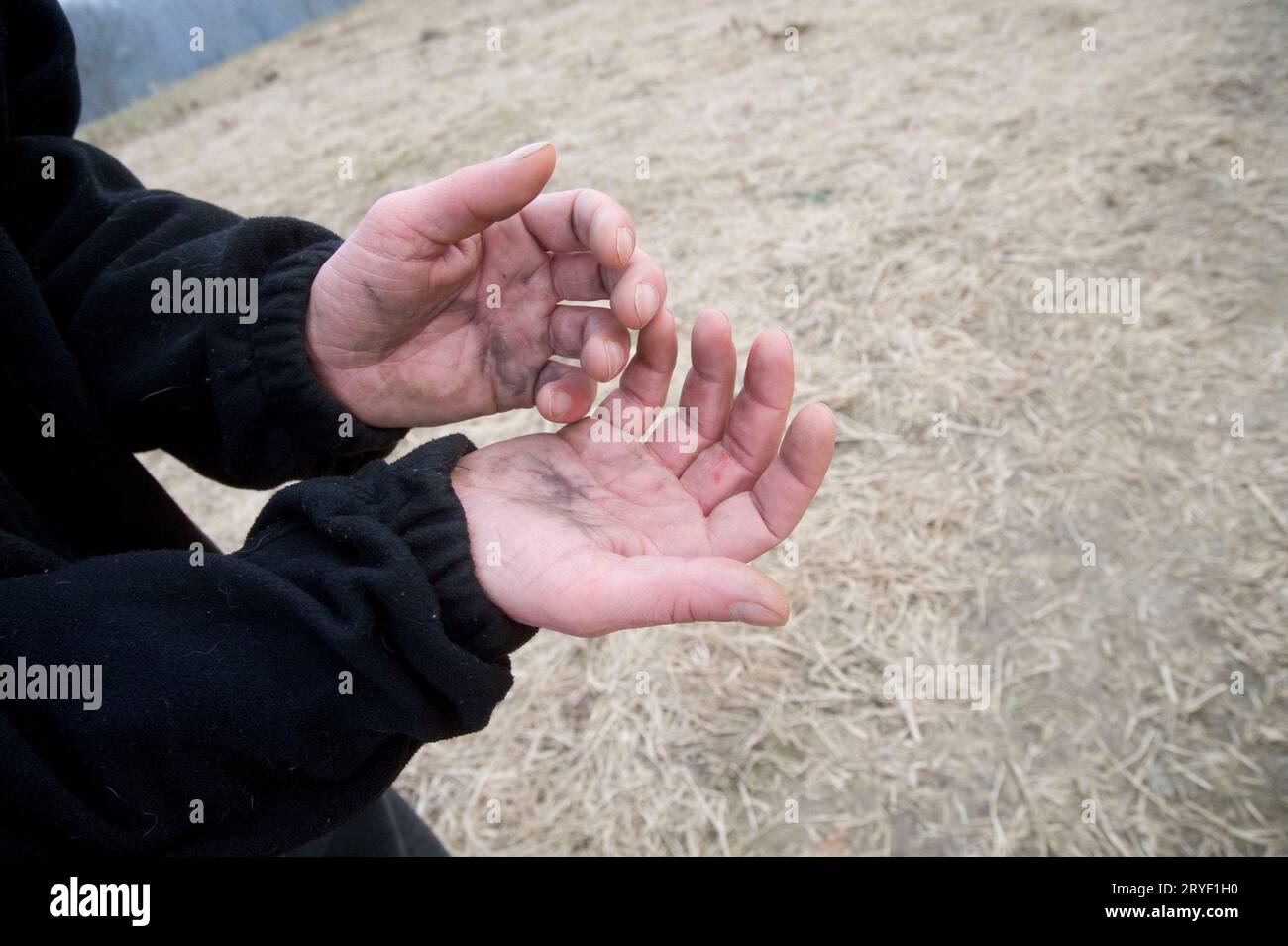 Uomo con le mani sporche durante il lavoro all'aperto Foto Stock