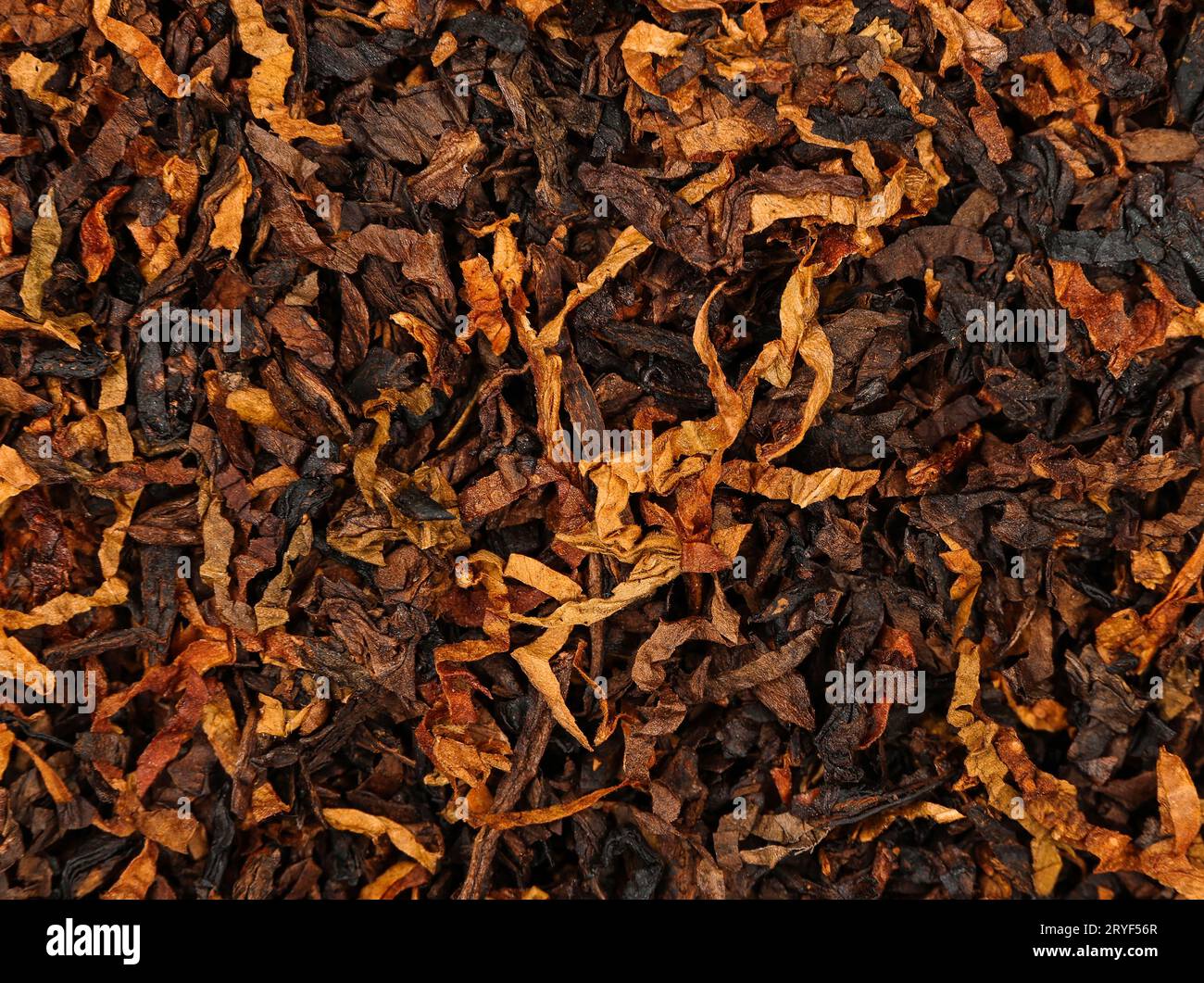 Miscela di tabacco per pipa lunga e tagliata a grossolana pronta per l'uso Foto Stock