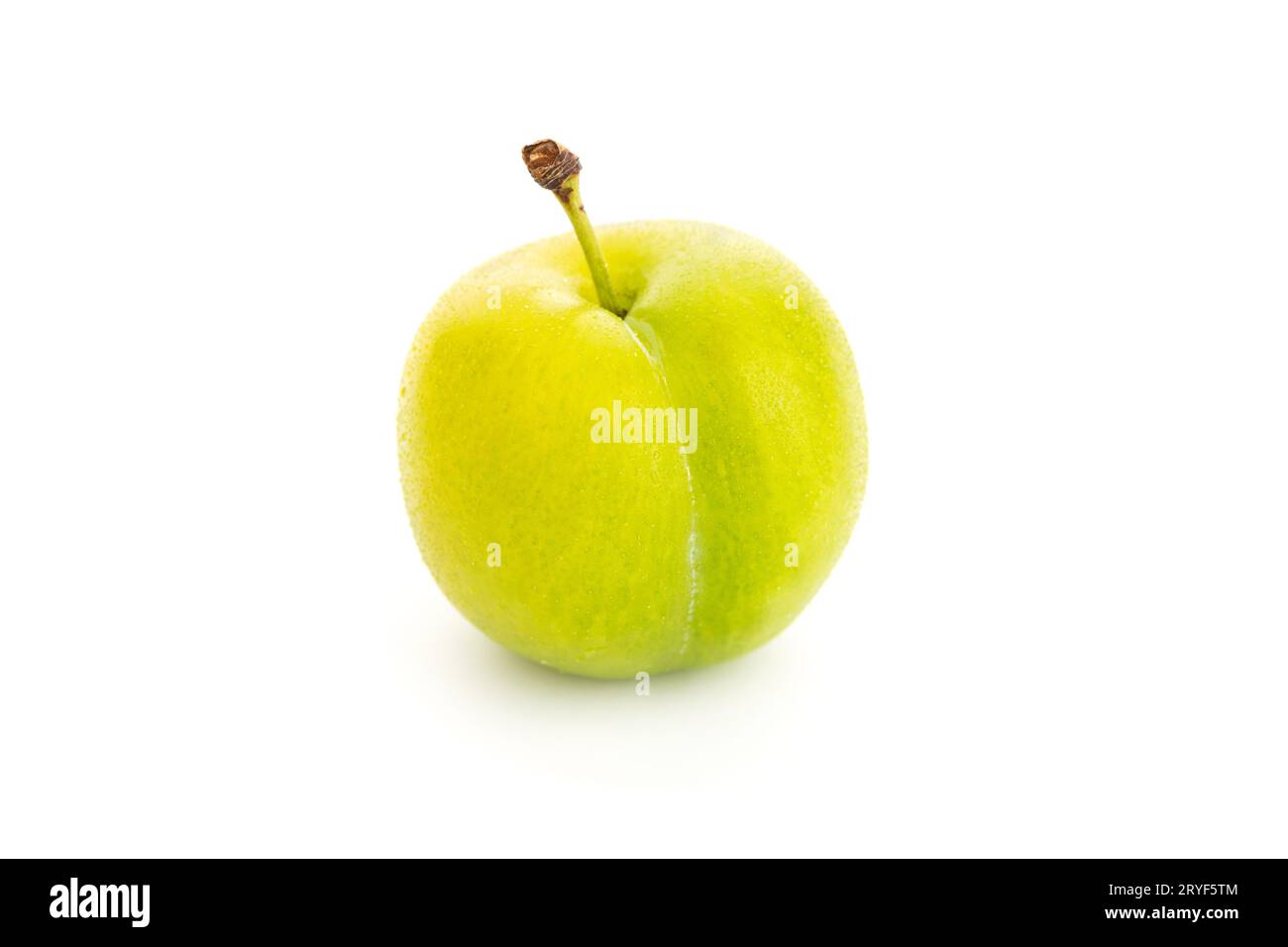 Greengage fresco isolato su sfondo bianco. Prugna verde gialla. Prunus domestica subsp. Italica Foto Stock