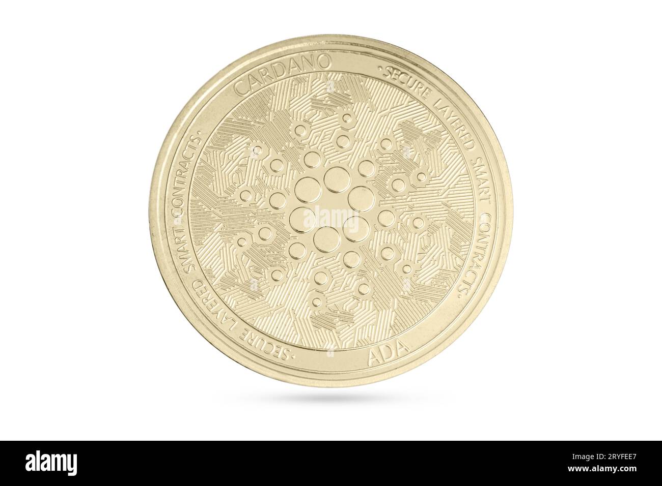 Moneta di Cardano isolata su sfondo bianco. Criptovaluta Foto Stock