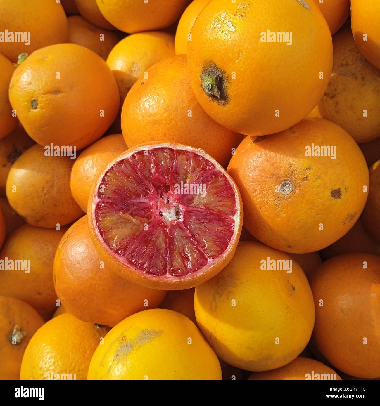 Frutti di arancia rossi maturi e succosi Foto Stock