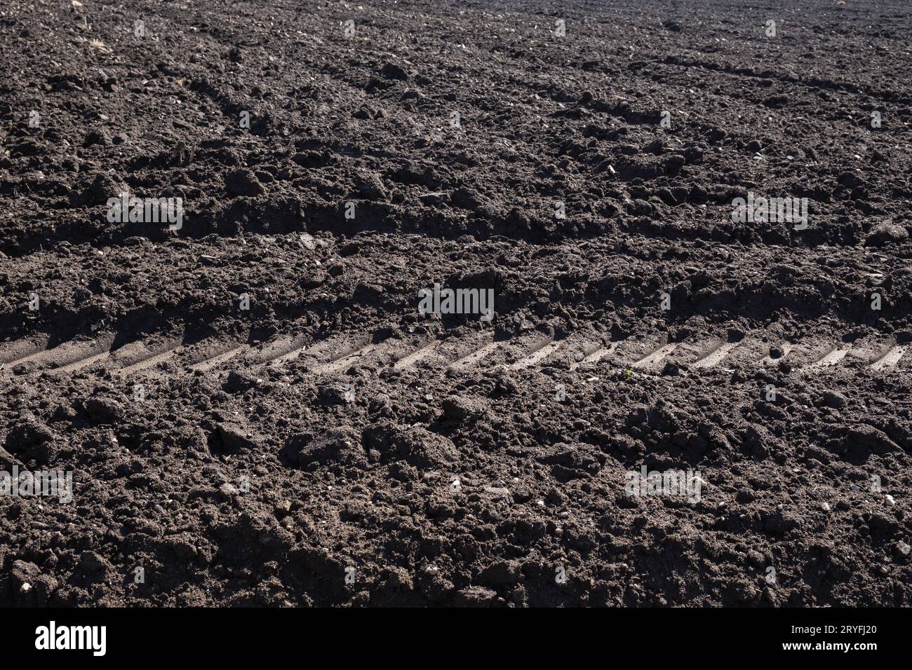 Terreno coltivato arato con file e ingombro del trattore. Struttura di sfondo agricola Foto Stock