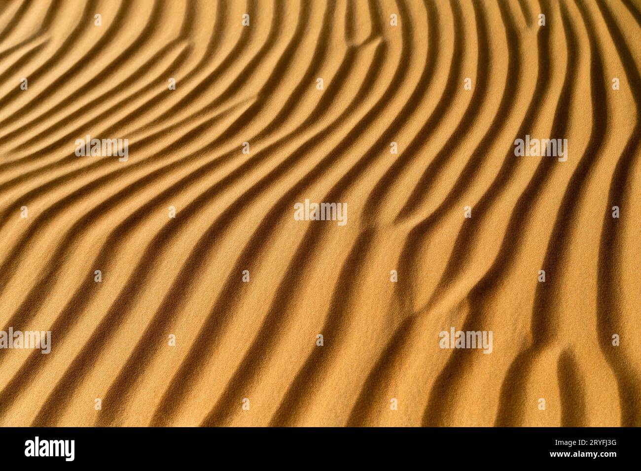 Modello naturale della duna di sabbia nel deserto di Abu Dhabi. Primo piano texture astratta. Foto Stock