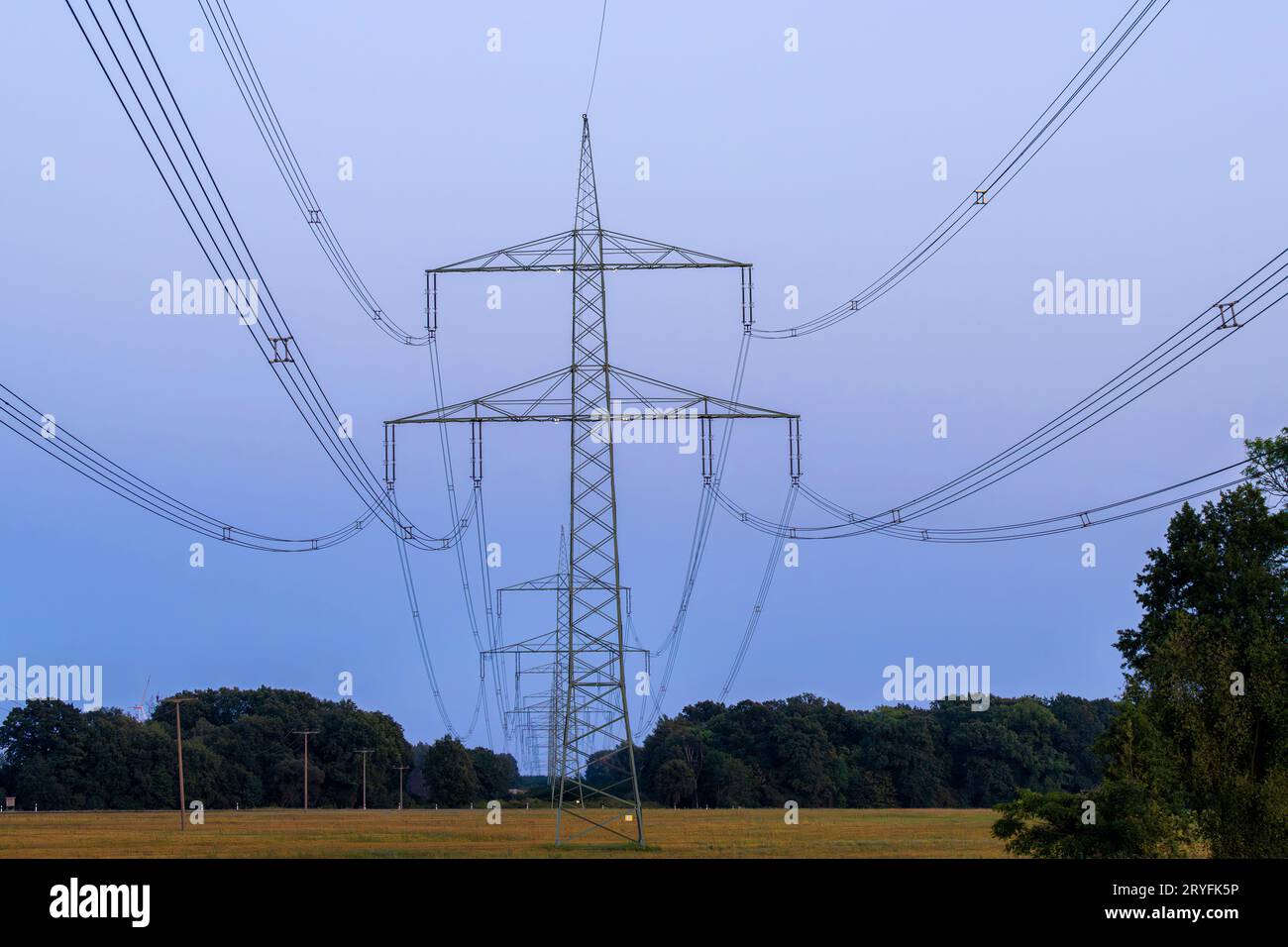 Piloni ad alta tensione di fila Foto Stock