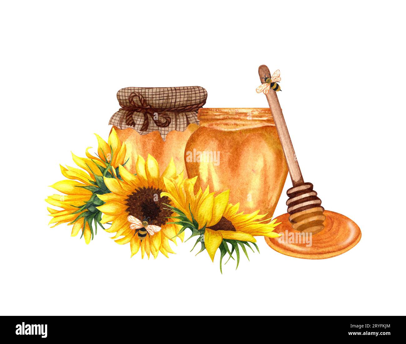 Acquerello miele sano in vasetti di vetro, fiori di girasole e immersione in legno di miele. Illustrazione di alimenti biologici disegnati a mano. Foto Stock