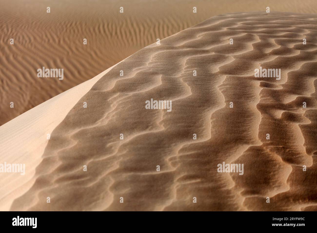 Dune di sabbia texture naturale nel deserto di Abu Dhabi Foto Stock