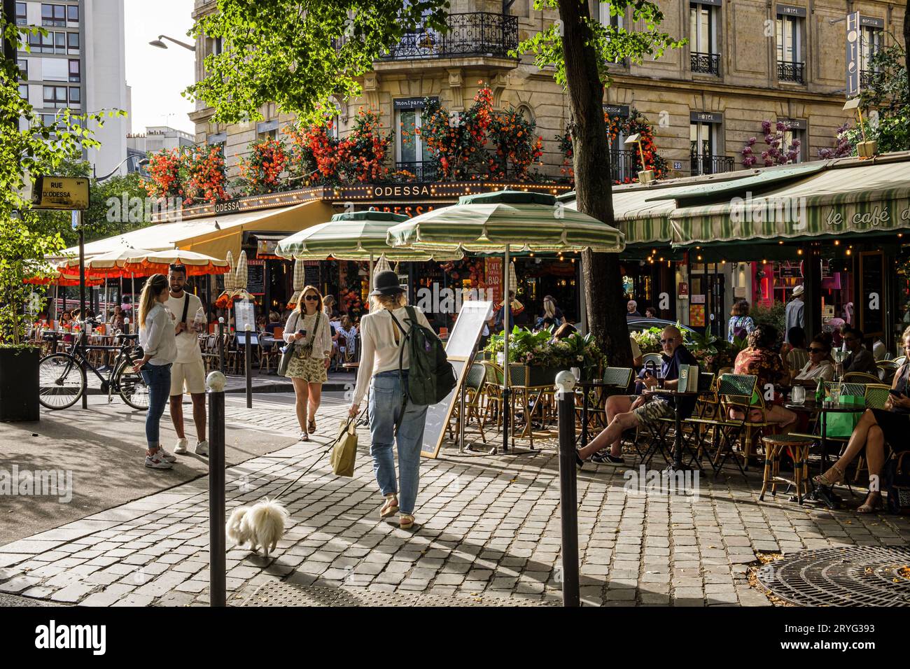 FRANCIA. PARIGI (75) (14° DISTRETTO) I CAFFÈ E LE LORO TERRAZZE, ALL'INCROCIO EDGAR QUINET Foto Stock