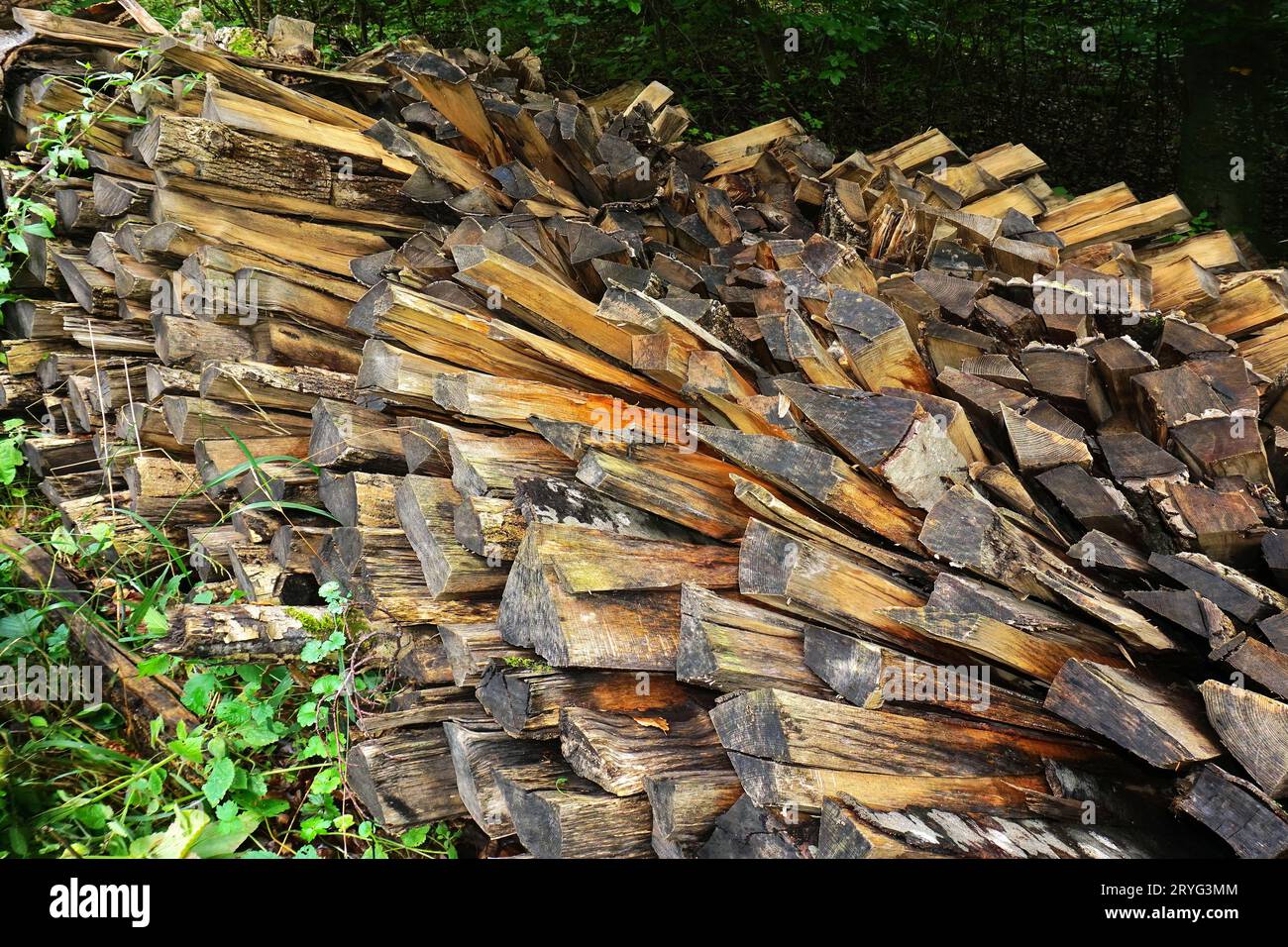 Pila di legna da ardere caduta su un sentiero forestale Foto Stock