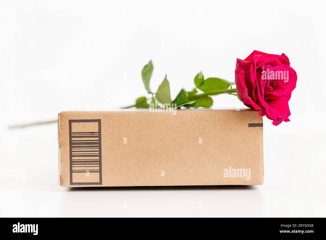 Merce consegnata in scatola di cartone con sopra una rosa rossa. Design semplice da modellare con spazio per la copia Foto Stock