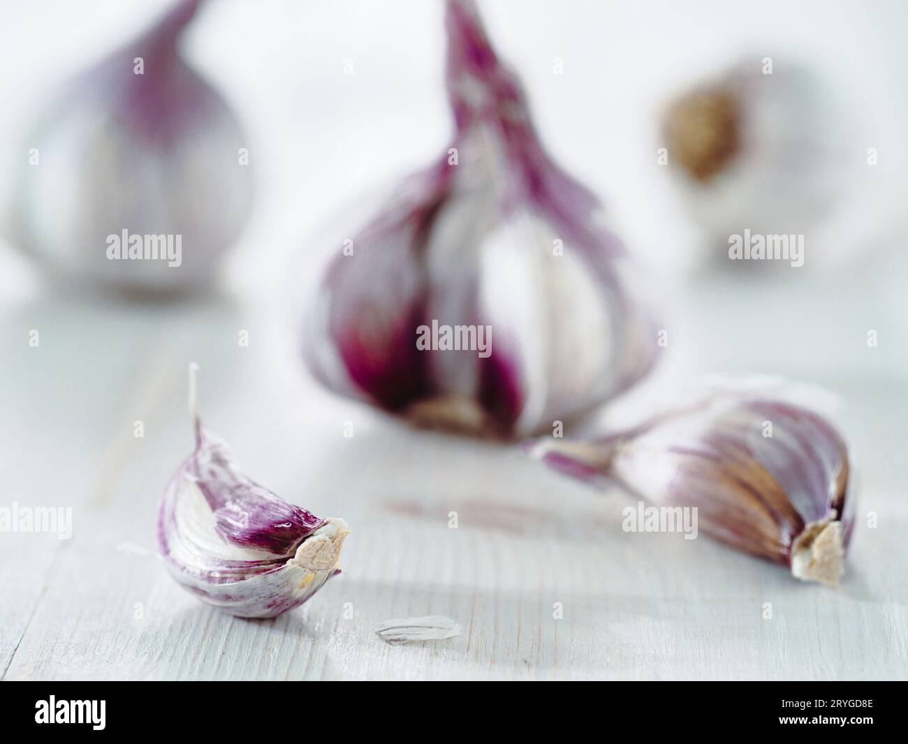 Bulbo d'aglio su sfondo bianco di legno Foto Stock