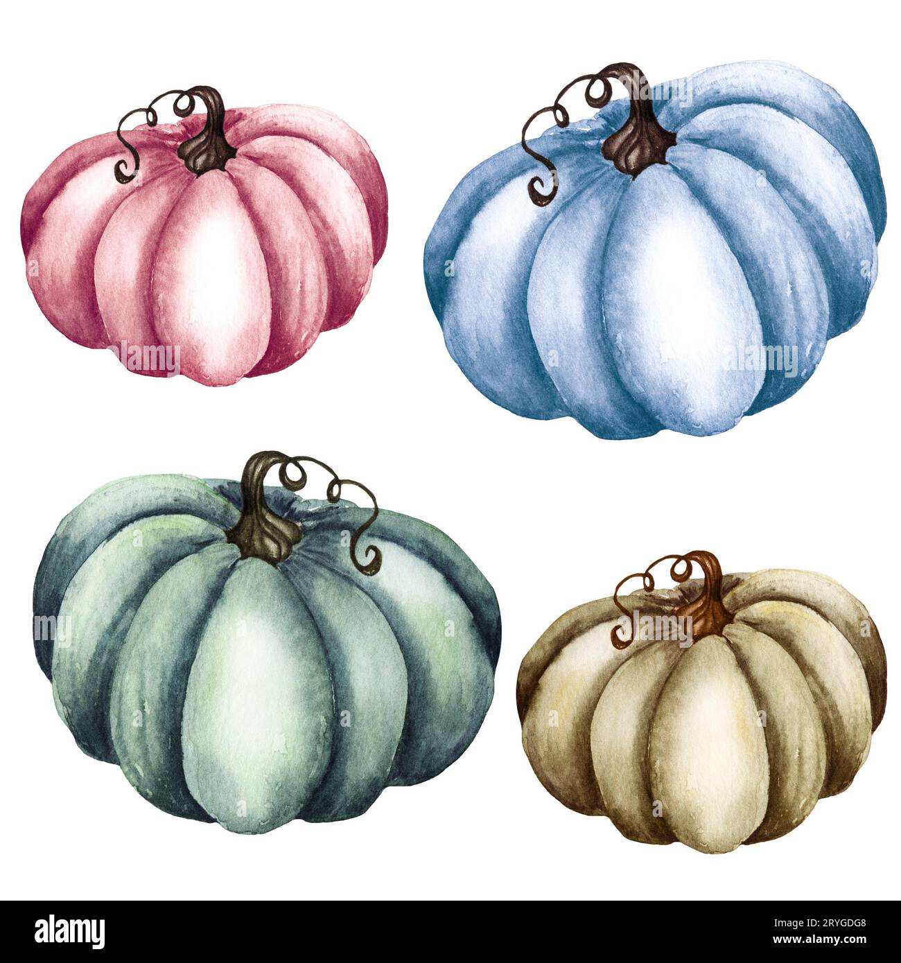 Acquerello rosa e blu zucca set, zucche floreali, Halloween clipart, elementi di design autunno, autunno. Illustrazione della mietitura Foto Stock