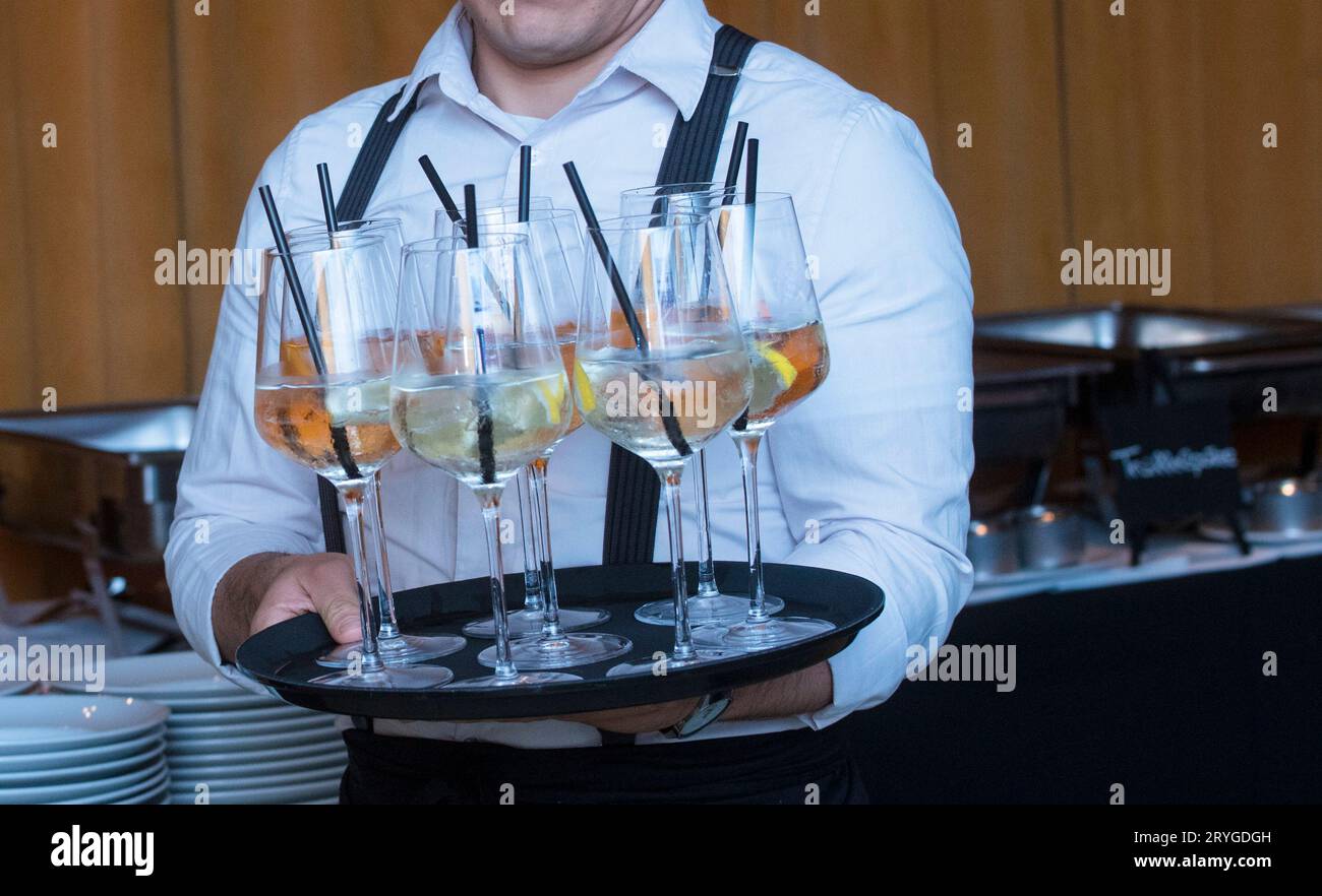 Cameriera nella gastronomia e nel turismo Foto Stock