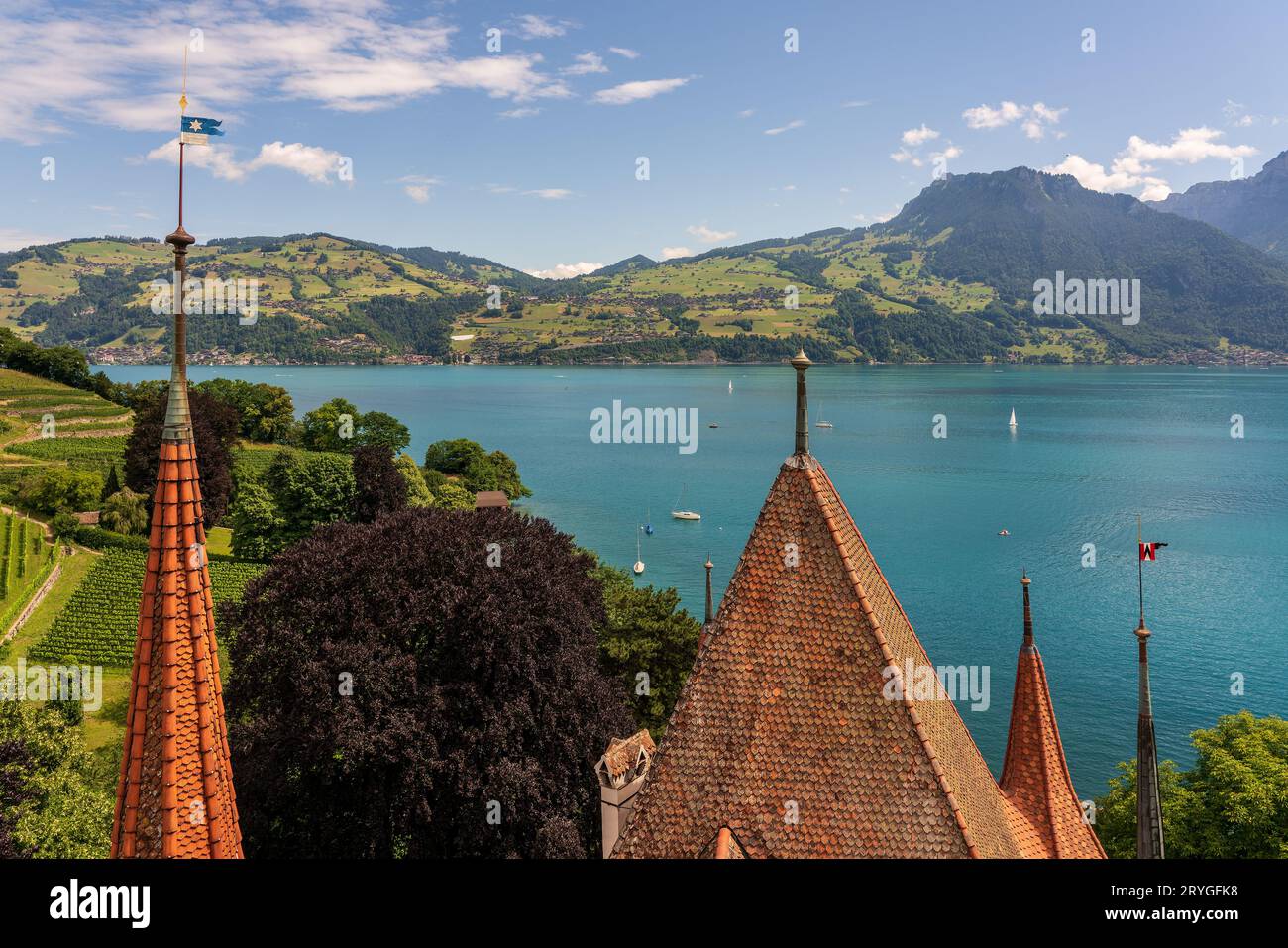 Vista panoramica di Spiez e del Lago di Thun in Svizzera. Foto Stock