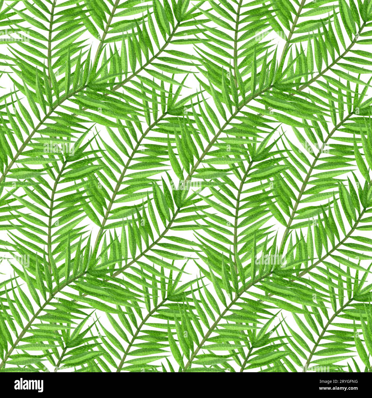 La palma tropicale acquerello lascia un motivo senza cuciture. Motivo floreale tropicale senza cuciture disegnato a mano. Foto Stock