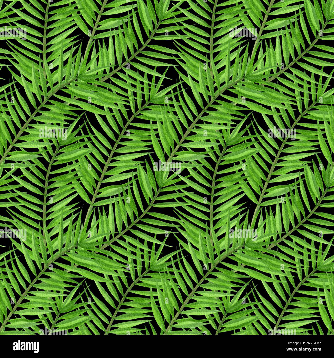 La palma tropicale acquerello lascia un motivo senza cuciture. Motivo floreale tropicale senza cuciture disegnato a mano. Foto Stock