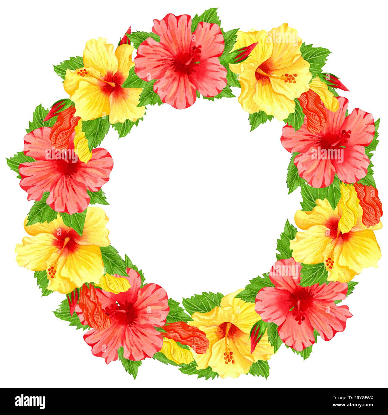 Cornice rotonda acquerello con fiori di ibisco rossi e gialli. Bordo floreale disegnato a mano con fiori e foglie tropicali. Matrimonio Foto Stock