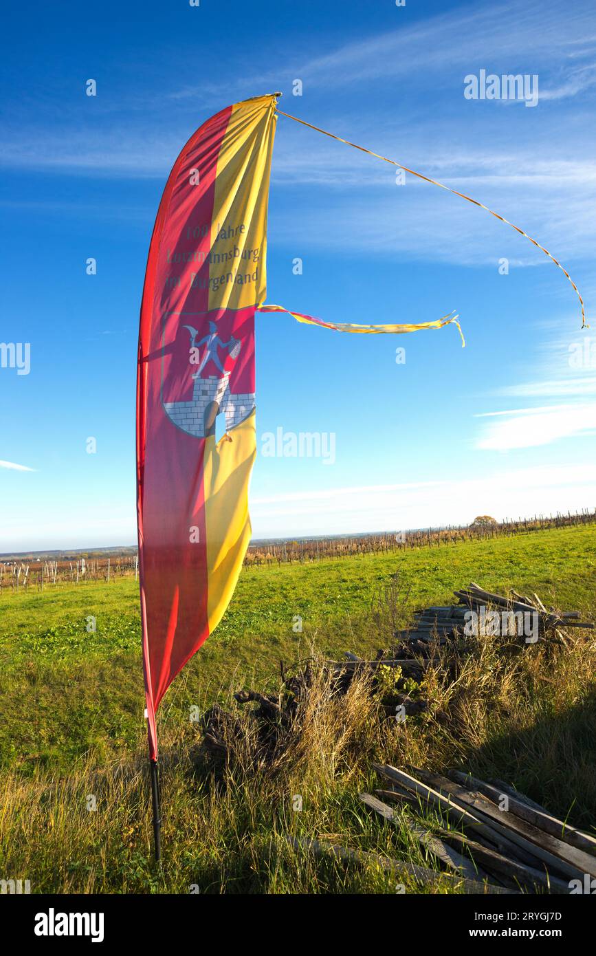 Bandiera sventolante del Burgenland - stato dell'Austria su flagpole. Modello per il giorno dell'indipendenza Foto Stock
