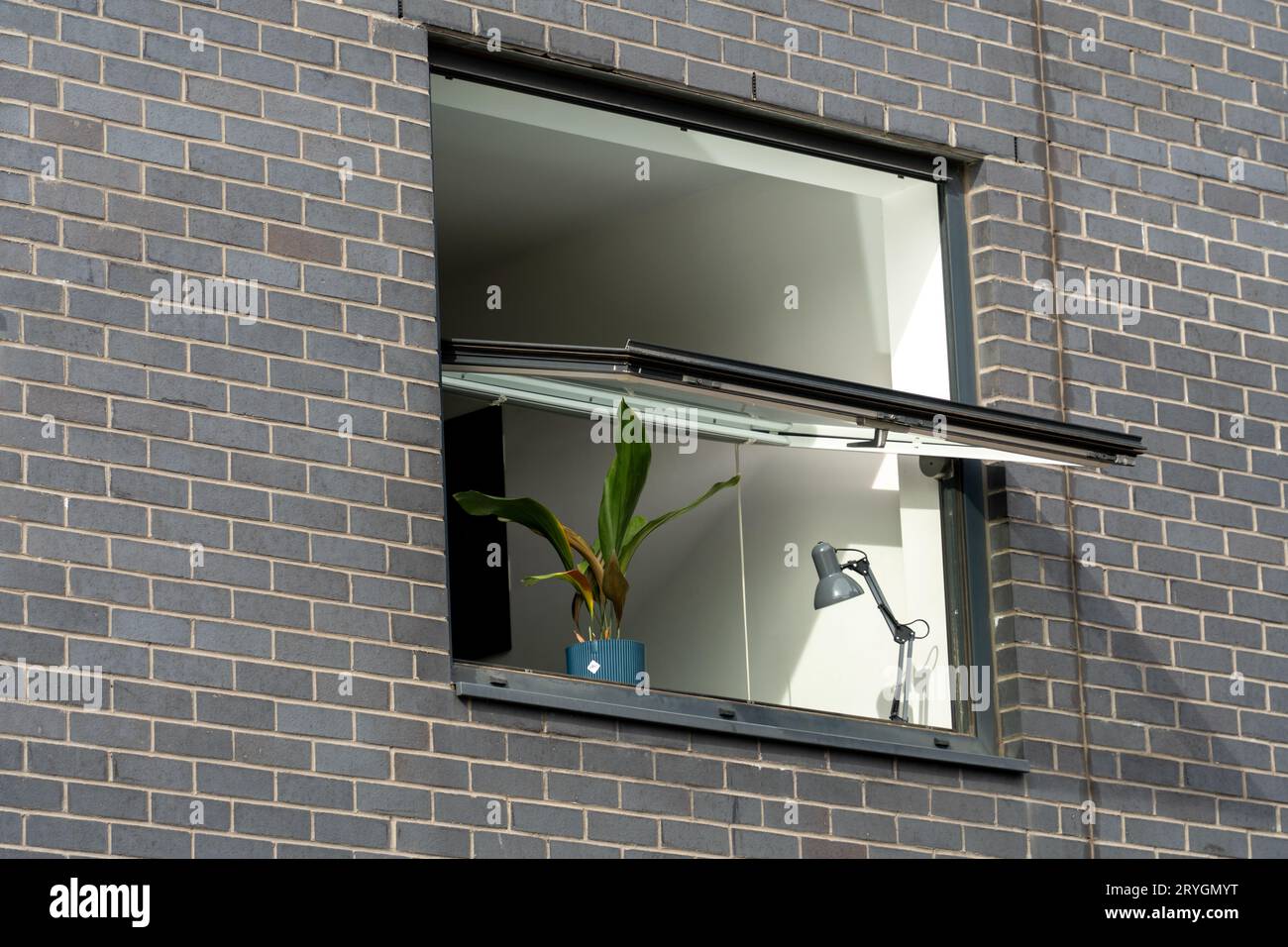 Vista di una pianta di casa in una moderna finestra dell'appartamento. Concetto di vita urbana e interni. Foto Stock