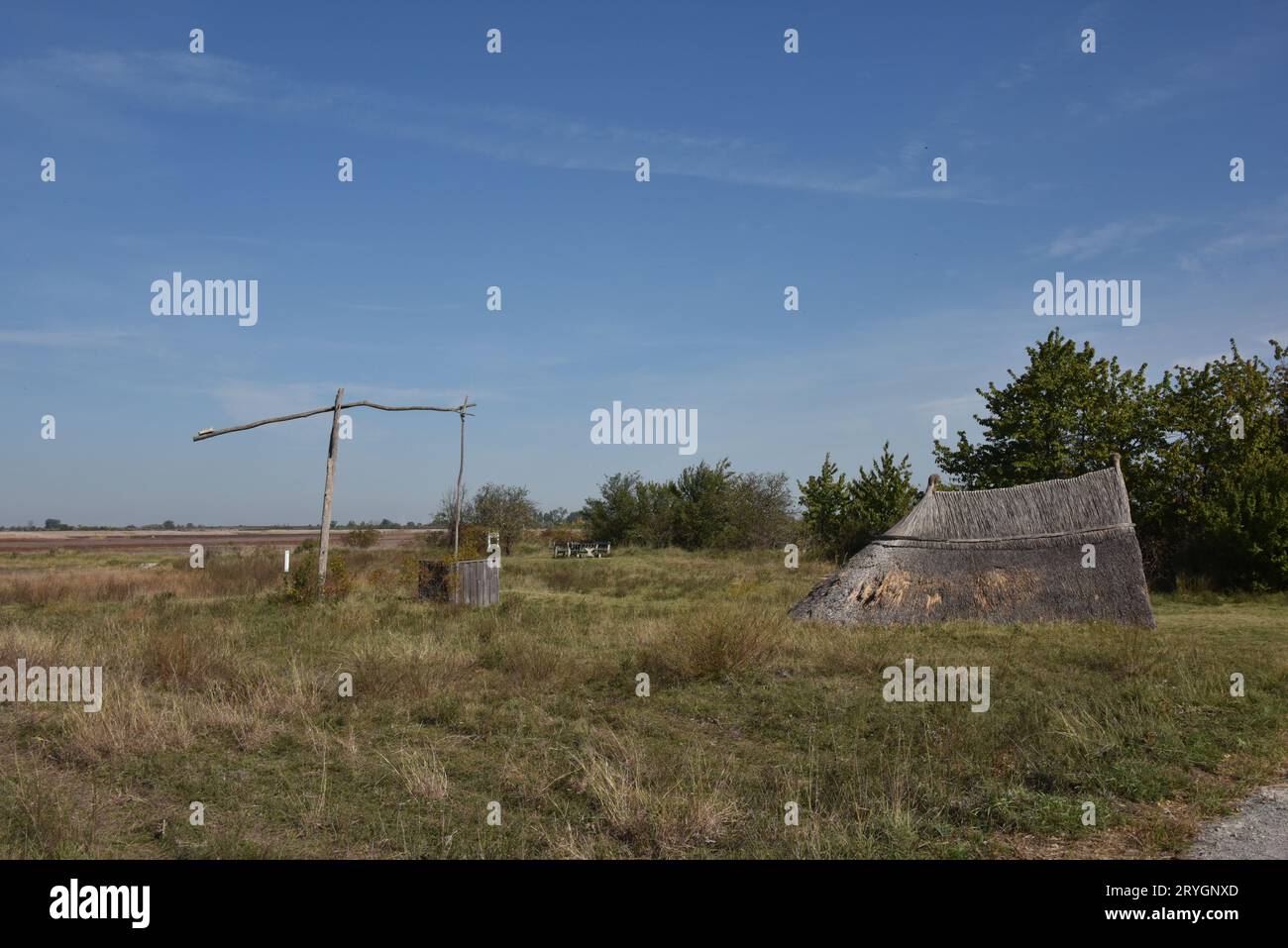 Lago Neusiedl, Illmitz, Burgenland, Austria, capanna con canne Foto Stock