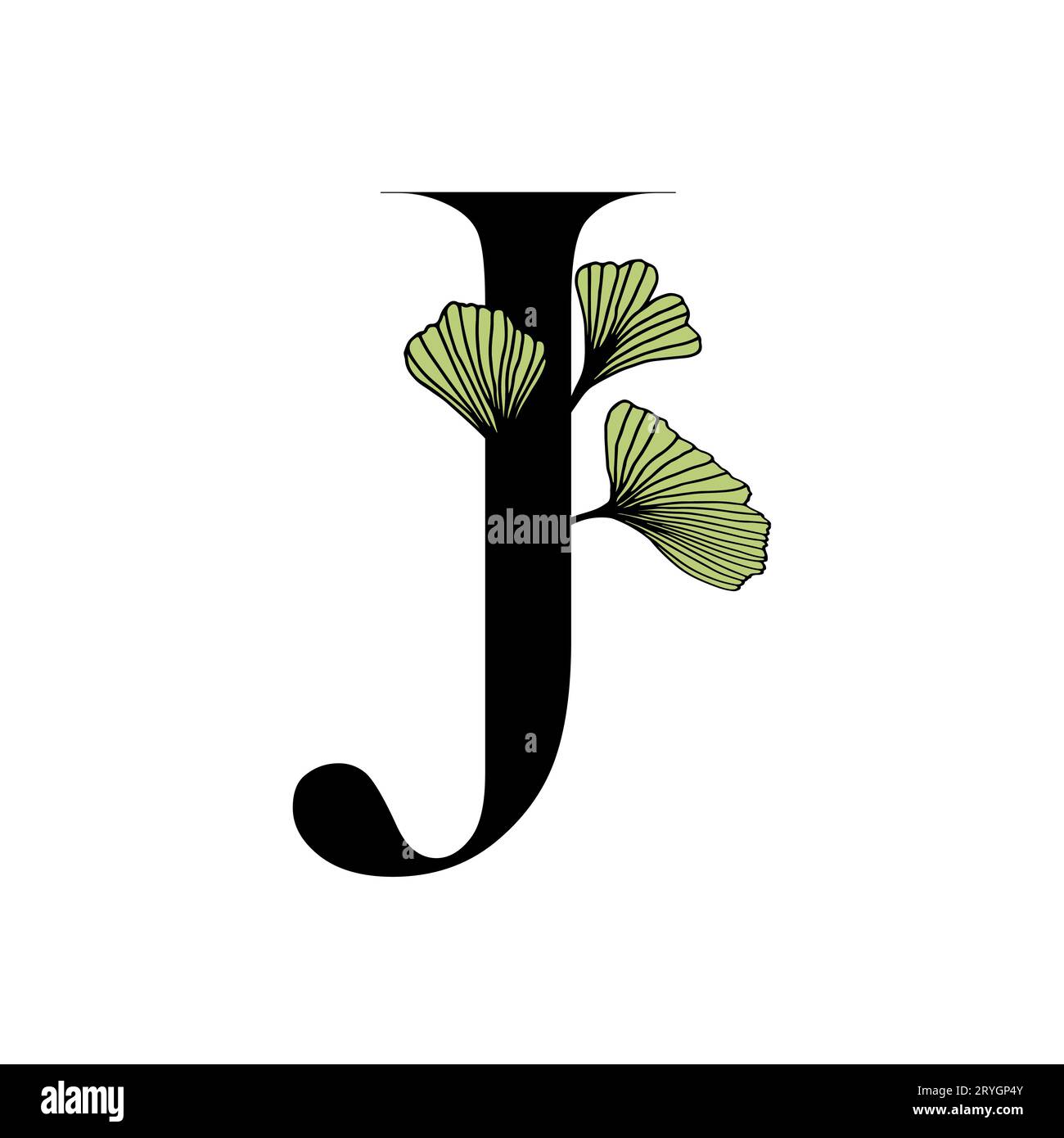 Ginkgo biloba lascia l'alfabeto J. distintivo e icona in stile lineare e alla moda disegnato a mano. Lettera dell'emblema del logo vettoriale e ramo ginkgo. Illustrazione per cosme Illustrazione Vettoriale