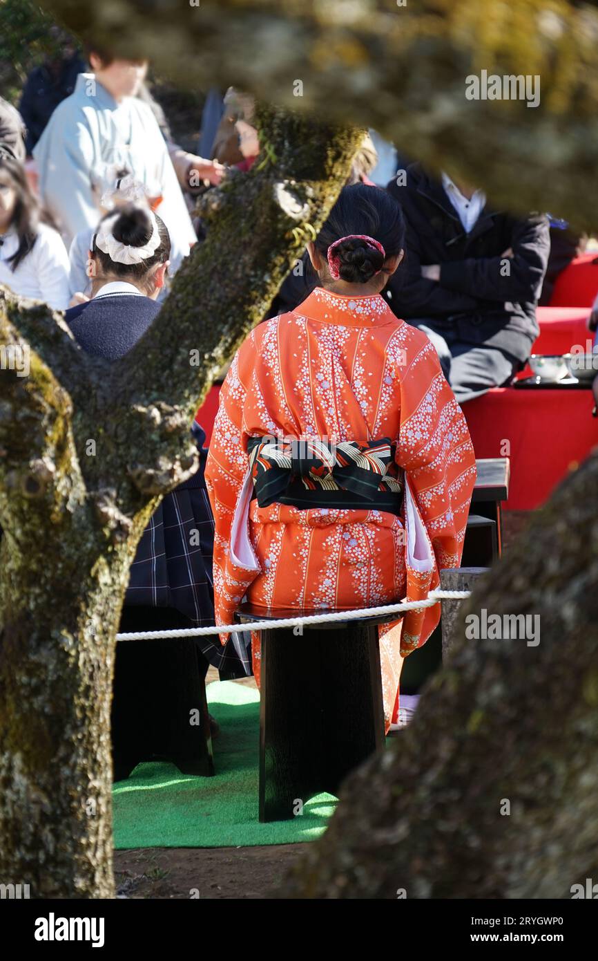 Donna kimono Foto Stock